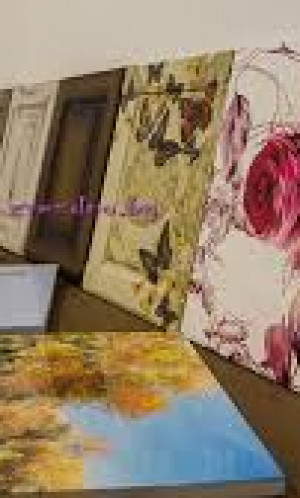 Spedoors Ltd Photos