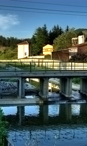 SAVARONA Ltd. Photos