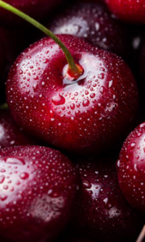 Appleland Photos