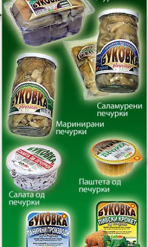 LABEKO DOOEL Photos