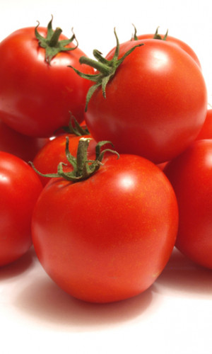 AGRO IGAL Photos