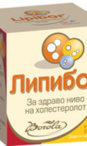 BOROLA Photos