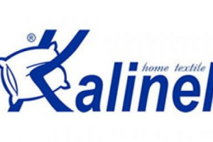 Kalinel ltd. Logo