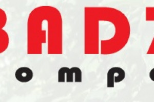 BADZO COMPANY Logo