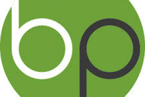 BitsnPixs Logo