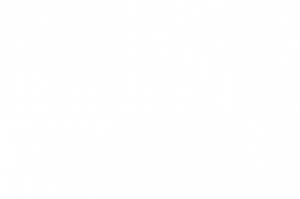 Undefinex Logo