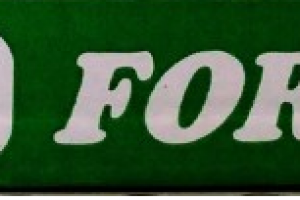 Fortina Ltd Logo