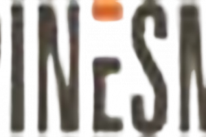 PinesMax Logo