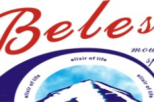 BELES SINGLE MEMBER LTD Logo