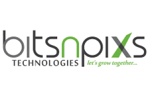 Embroidery Digitizing Service- BitsnPixs Logo