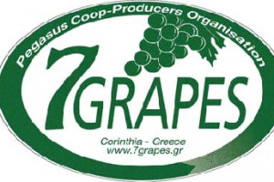 PEGASUS Coop - PRODUCERS ORGANIZATION Logo