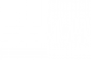 Alina Furniture Logo