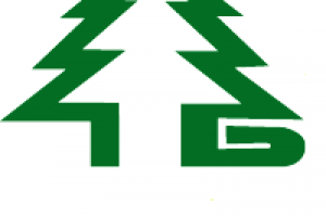 Bin-2 Ltd Logo