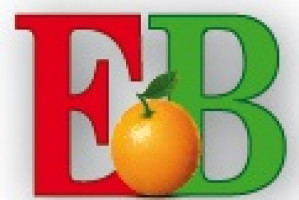 CHIOS SWEETS - VARLAS GEORGIOS Logo