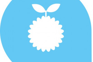 ALTERRA S.A. Logo