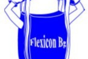 FLEXICON BG Ltd. Logo