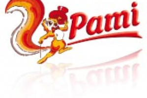 PAMI S.A. Logo