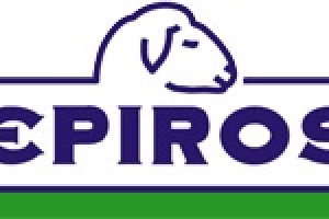 EPIRUS S.A. Logo