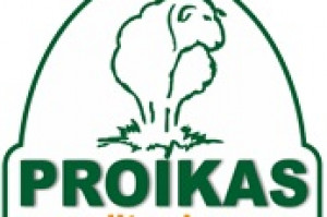 STAMATIS PROIKAS S.A. Logo