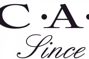 C.A.I.R. S.A. Logo