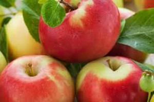 Appleland Logo
