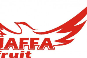 Jaffa Grup Logo