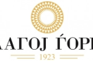 BLAGOJ GJOREV PI Logo