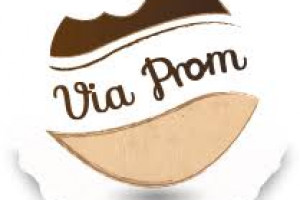 VIA PROM Logo