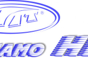 DINAMO HIT DOO Logo