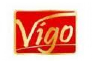 VIGO 48 Logo