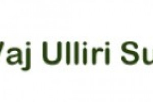 SUBASHI SHPK Logo