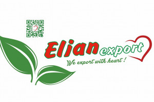 ELIAN EXPORTS Logo