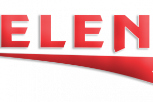 DELENA DD Logo