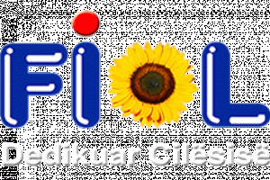 Vajra Bimore sh.a FIOL Logo
