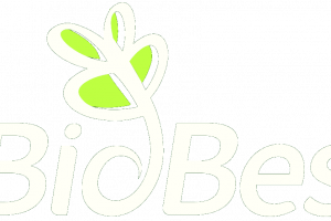 BioBes sh.p.k Logo