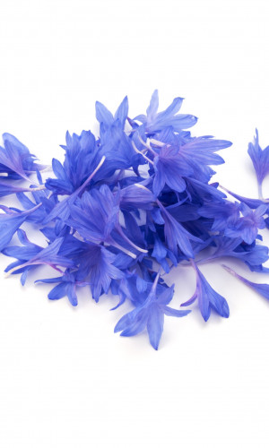 Medicinal and Aromatic Herbs Photos
