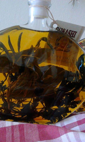 Olive Oil Photos