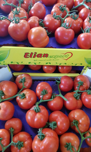 Fuits and Vegetables Photos