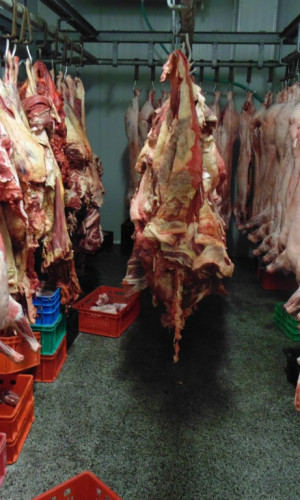 Meat preparations Photos