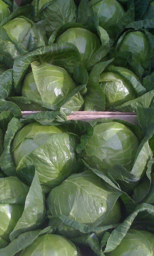Fruits and Vegetables Photos