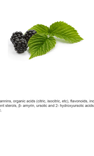 Medicinal and Aromatic Herbs Photos