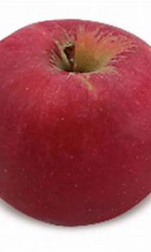 Fresh Apples Photos