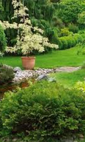 FORESTRY, GARDEN AND PARK MECHANIZATION Photos