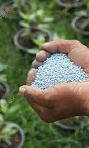 ARTIFICIAL FERTILIZER Photos