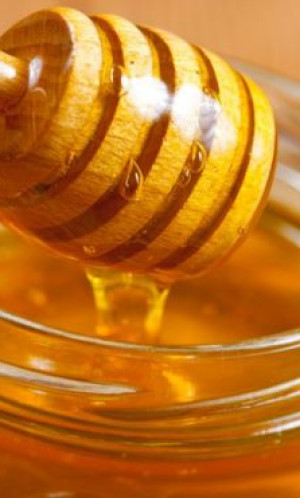 Honey Photos