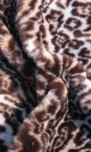 Animal fake fur Photos