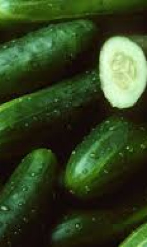 Cucumber Photos