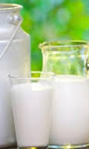 Milk Photos