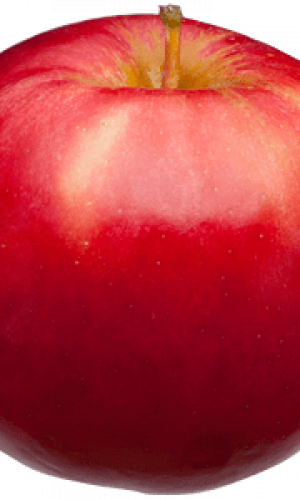 Fresh apples IDARED Photos