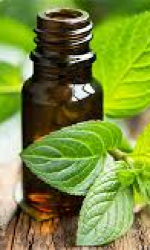 ESSENTIAL OILS Photos